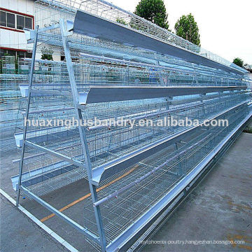 A type full automatic chicken layer cage chicken cage